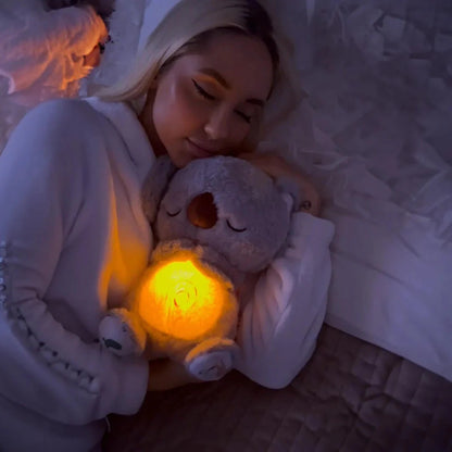 Koala - prietenul calduros