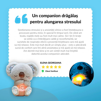 Koala - prietenul calduros