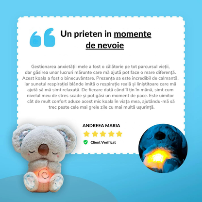 Koala - prietenul calduros