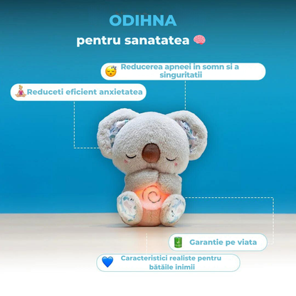 Koala - prietenul calduros